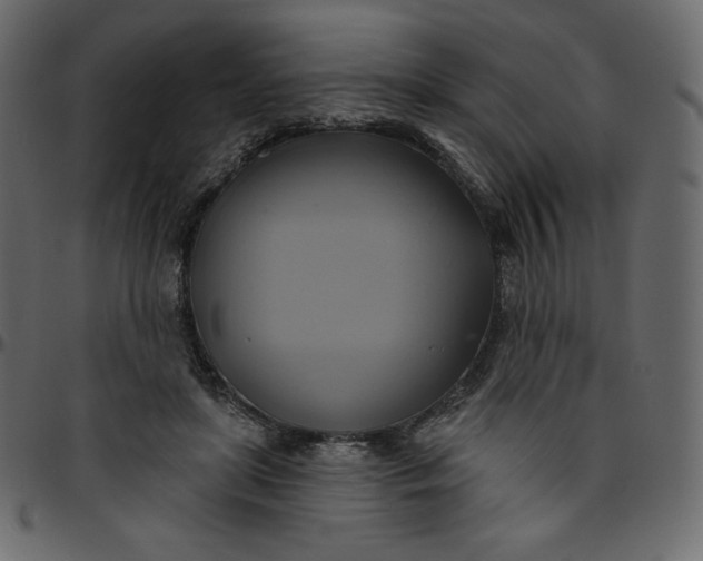 X0000095680451200801221229