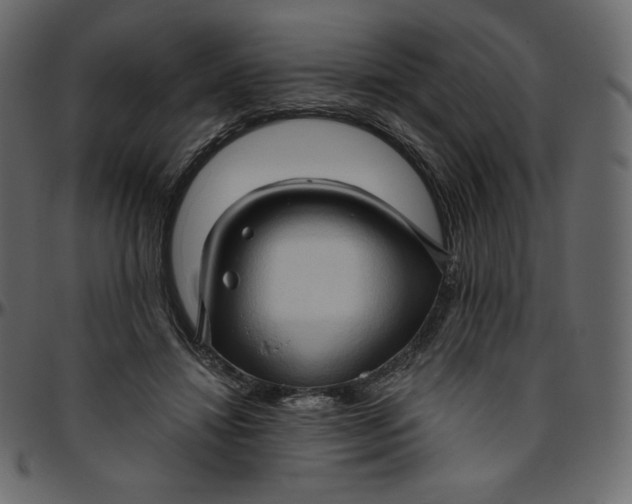 X0000095680452200801221229