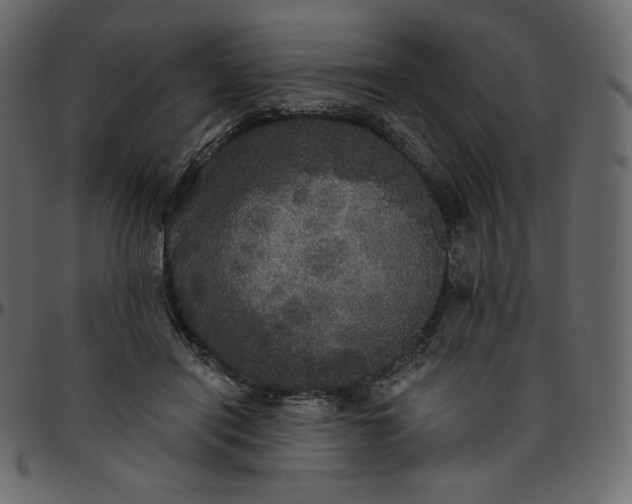 X0000095680454200801221229