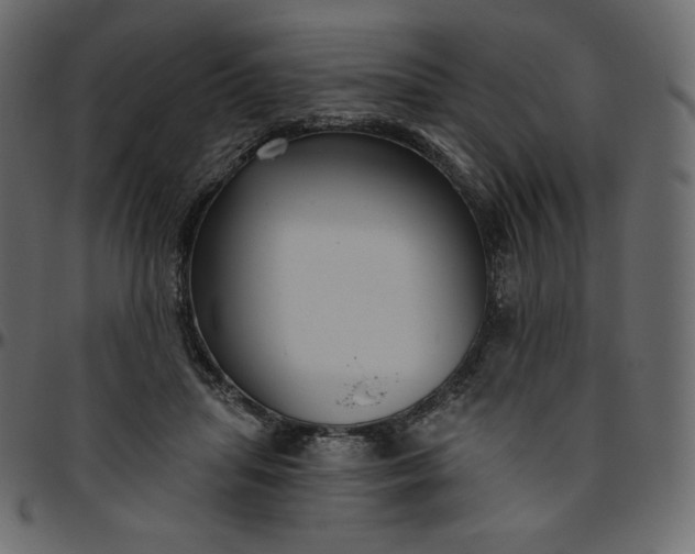 X0000095680455200801221229