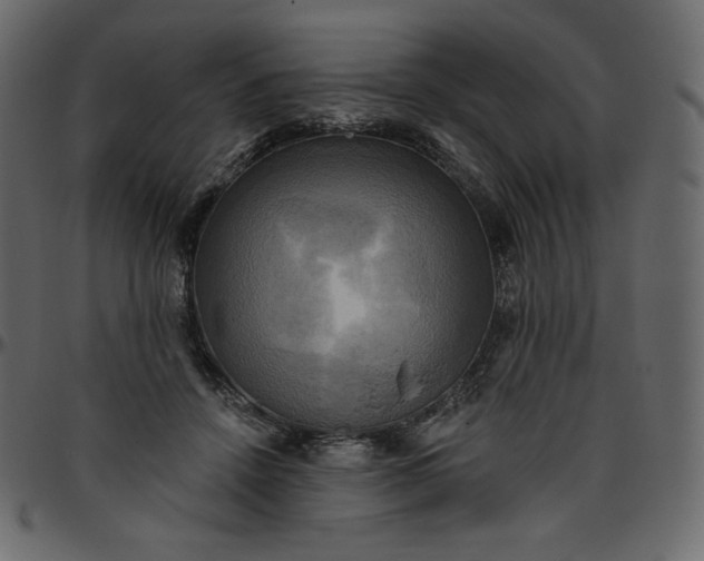 X0000095680456200801221229