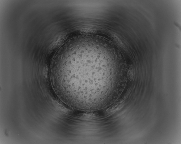 X0000095680458200801221229
