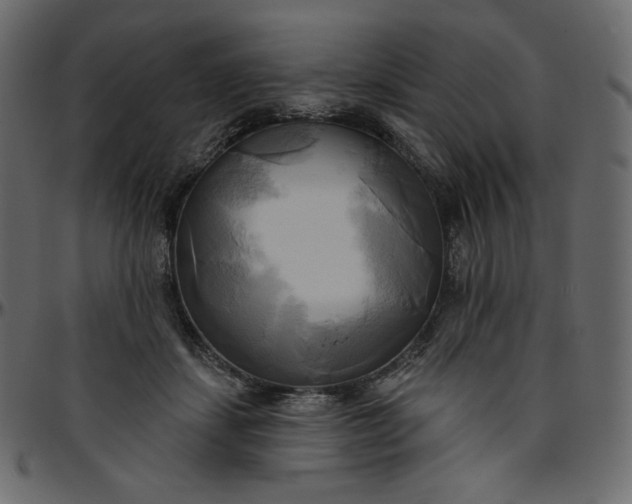 X0000095680459200801221229