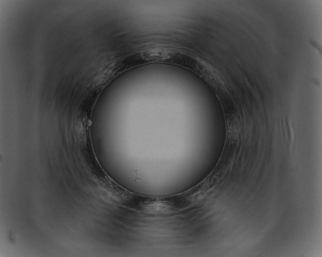 X0000095680460200801221229
