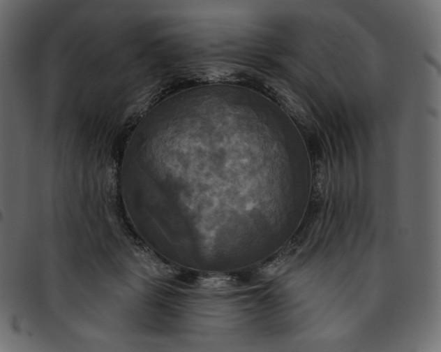 X0000095680461200801221229