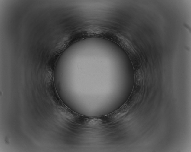 X0000095680463200801221230