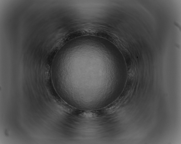 X0000095680464200801221230