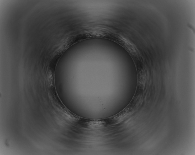 X0000095680465200801221230