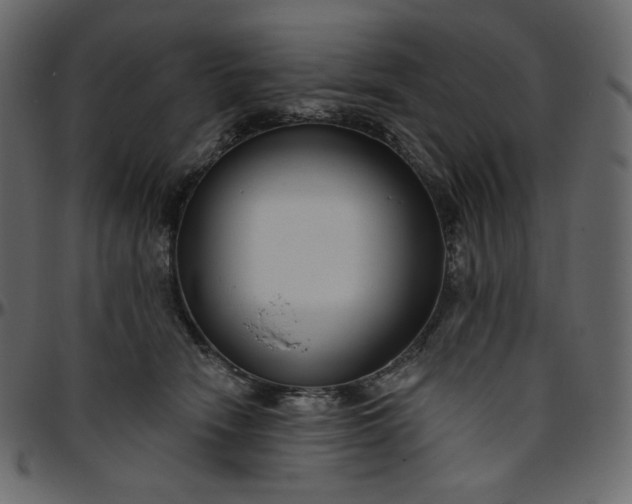 X0000095680466200801221230