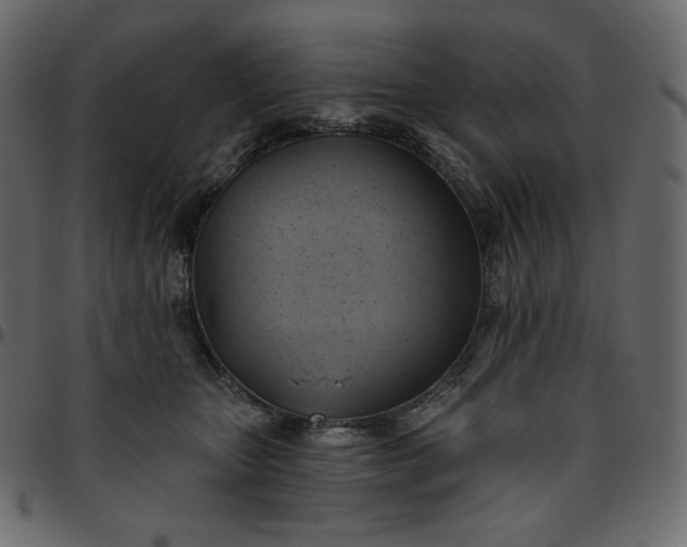 X0000095680467200801221230