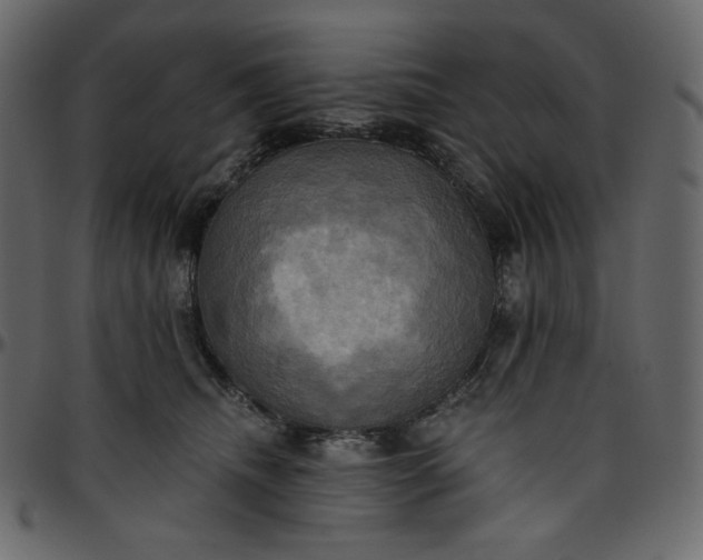 X0000095680468200801221230