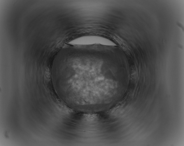 X0000095680469200801221230