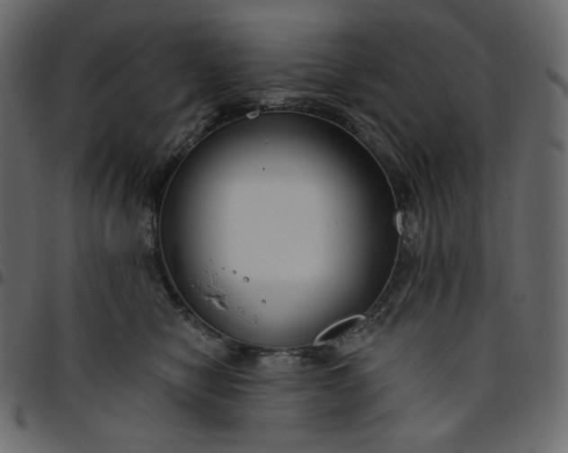 X0000095680470200801221230