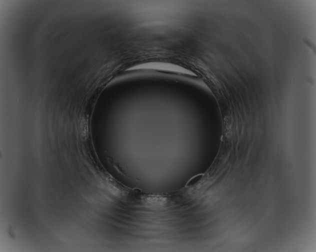 X0000095680471200801221230