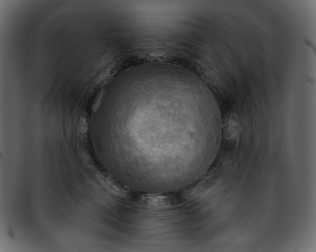 X0000095680472200801221230