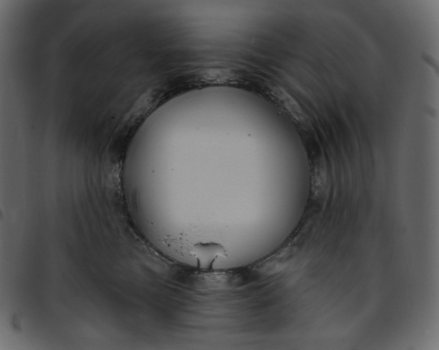 X0000095680473200801221230