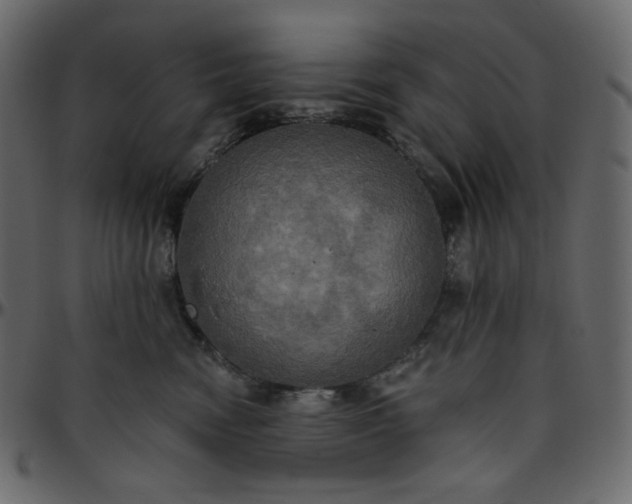 X0000095680474200801221230