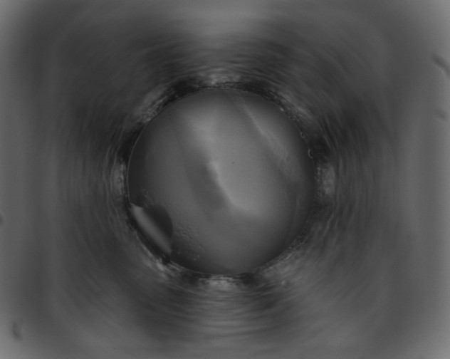 X0000095680475200801221230