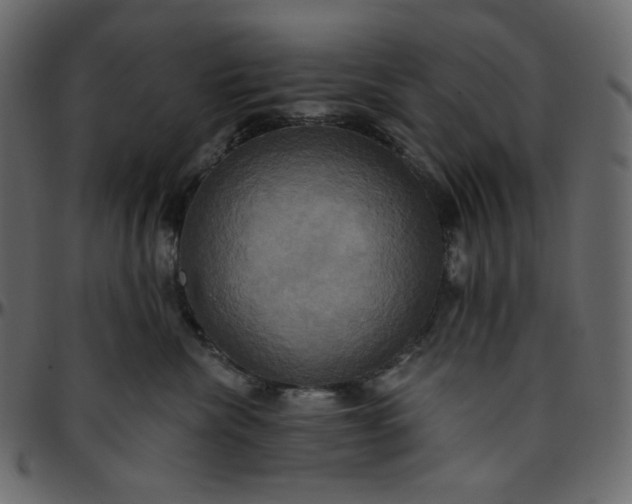 X0000095680476200801221230