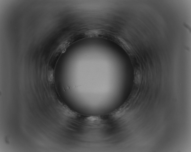 X0000095680477200801221230