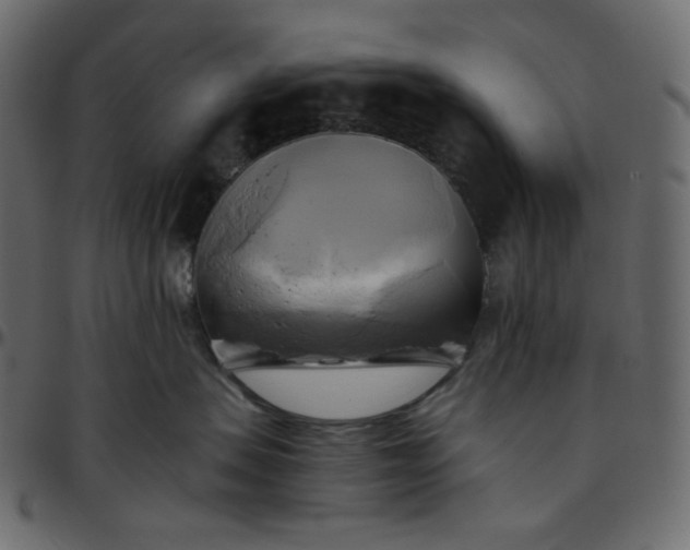 X0000095680479200801221230