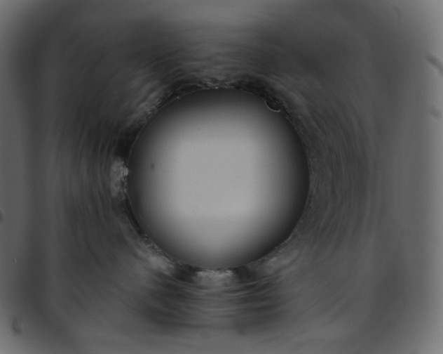 X0000095680480200801221230