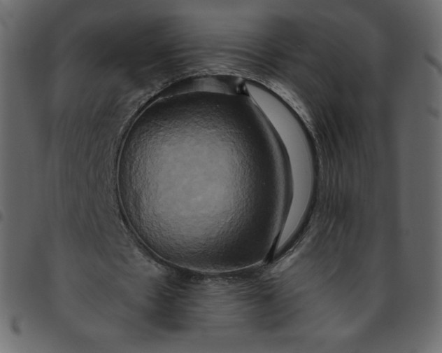 X0000095680481200801221229