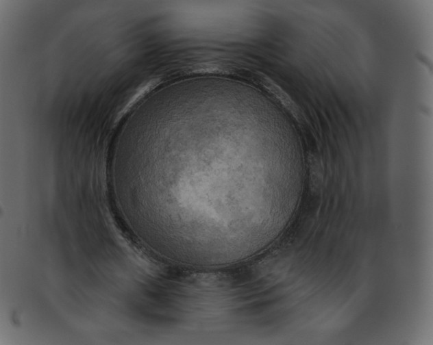 X0000095680482200801221229