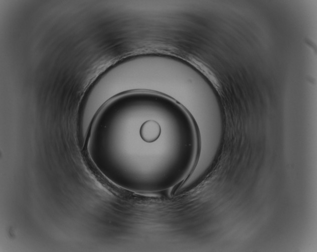 X0000095680485200801221229