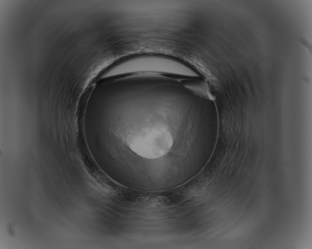 X0000095680488200801221229