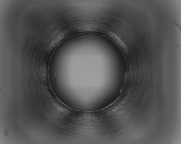 X0000095680489200801221229