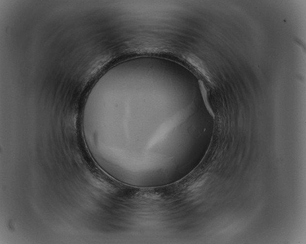 X0000095680491200801221229