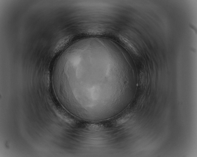 X0000095680494200801221229