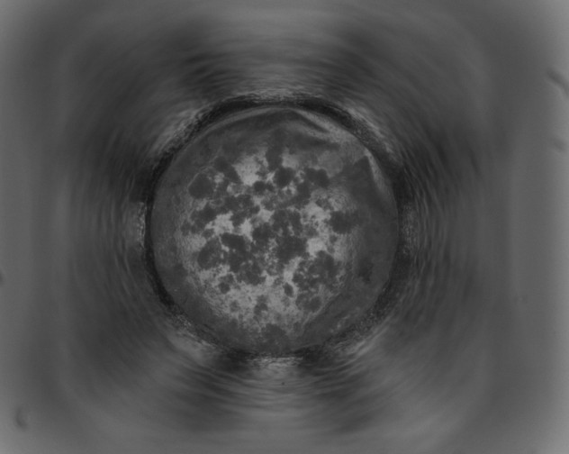 X0000095680495200801221229