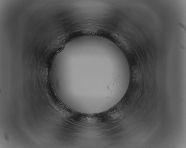 X0000095680498200801221229