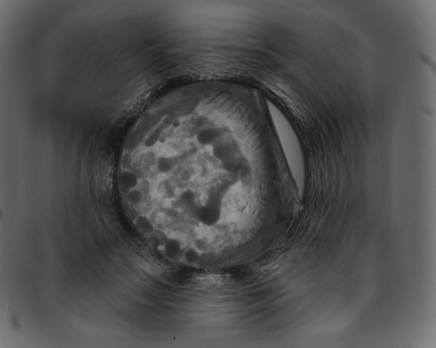 X0000095680499200801221229