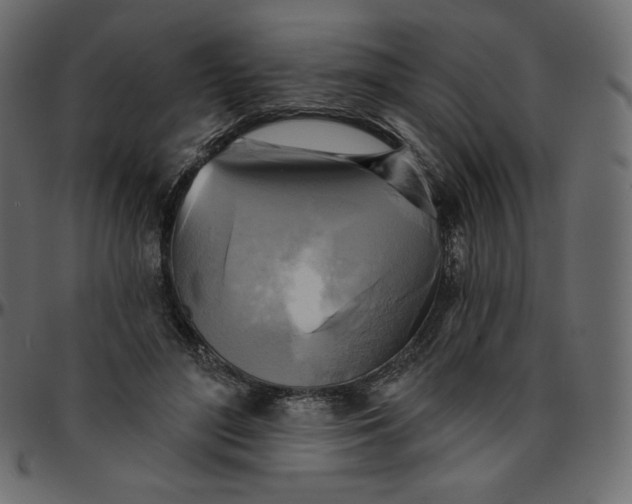 X0000095680500200801221229