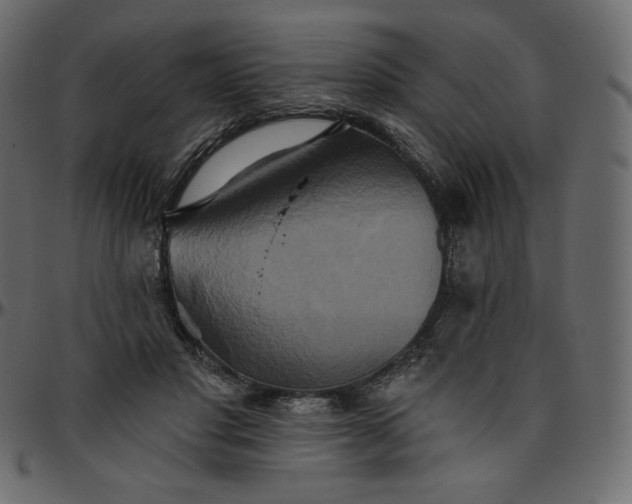 X0000095680501200801221229