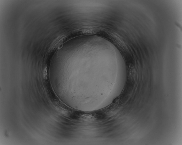 X0000095680502200801221229