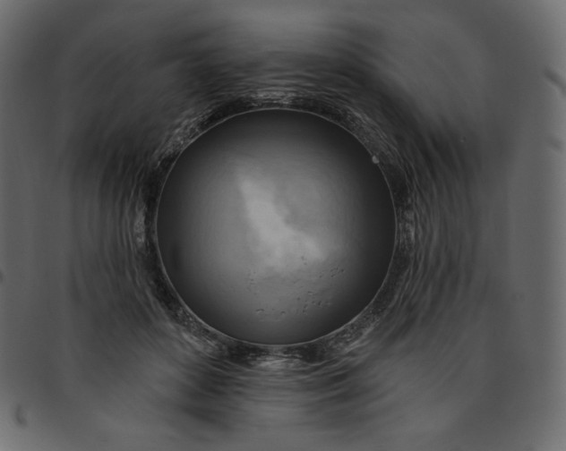 X0000095680504200801221229