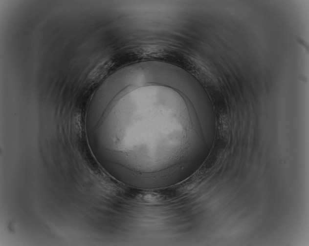 X0000095680506200801221229