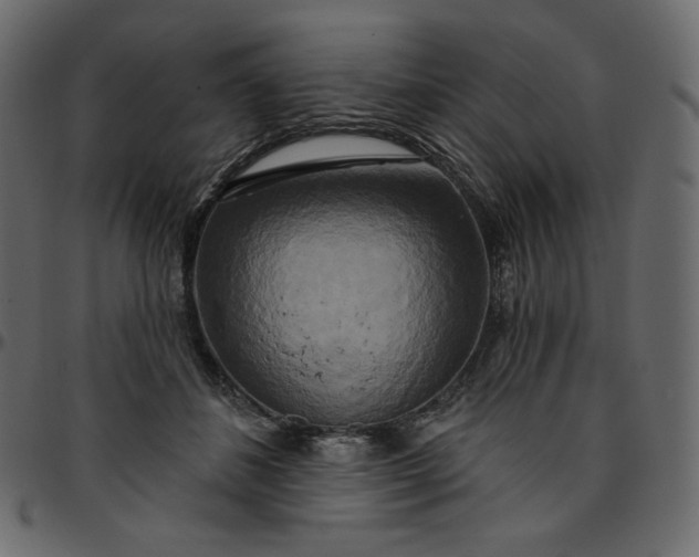 X0000095680508200801221229