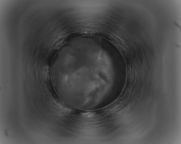 X0000095680511200801221229