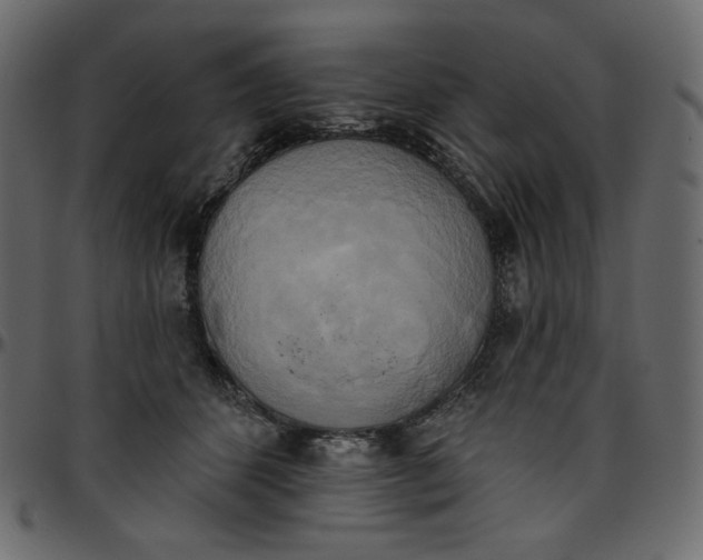 X0000095680512200801221229