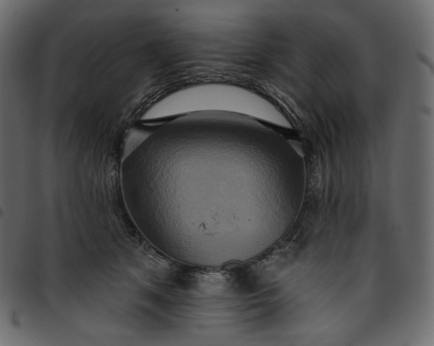 X0000095680513200801221229