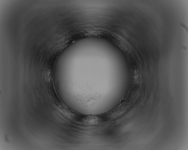 X0000095680514200801221229