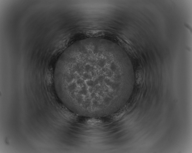 X0000095680515200801221229