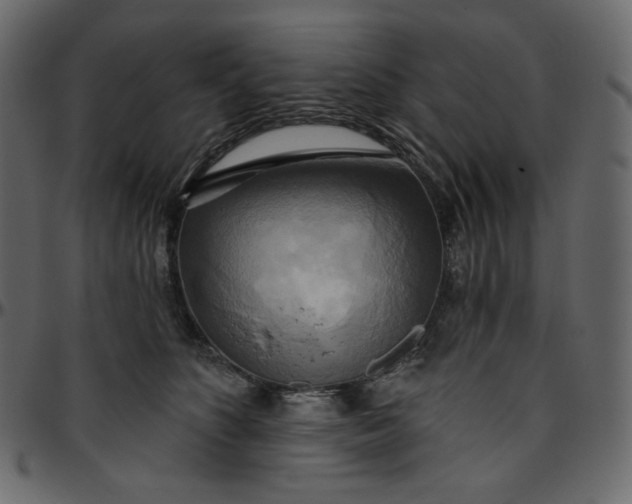 X0000095680516200801221229