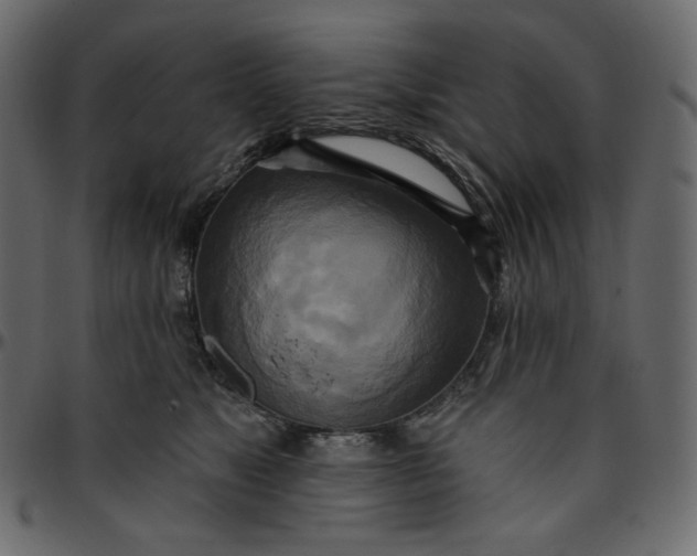 X0000095680517200801221229