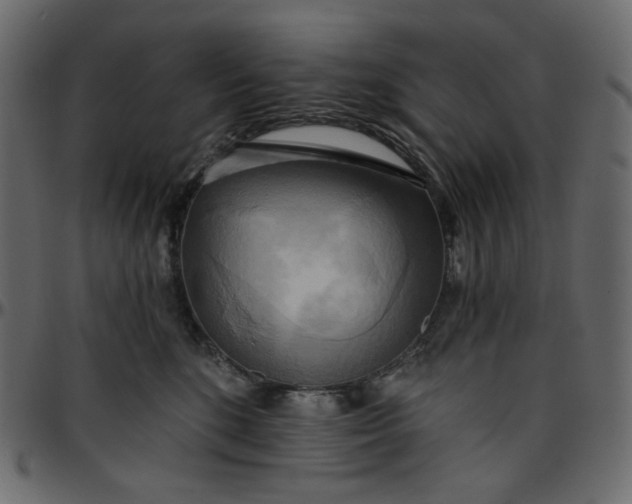 X0000095680520200801221228